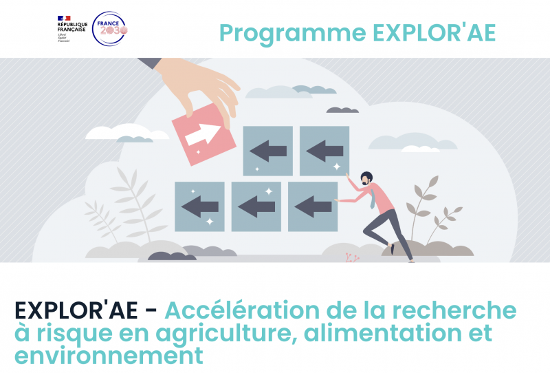 programme EXPLOR’AE